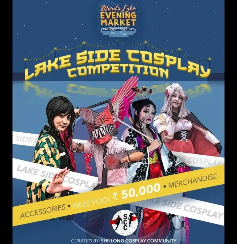 Cosplay Magic Lights Up Ward’s Lake Evening Market